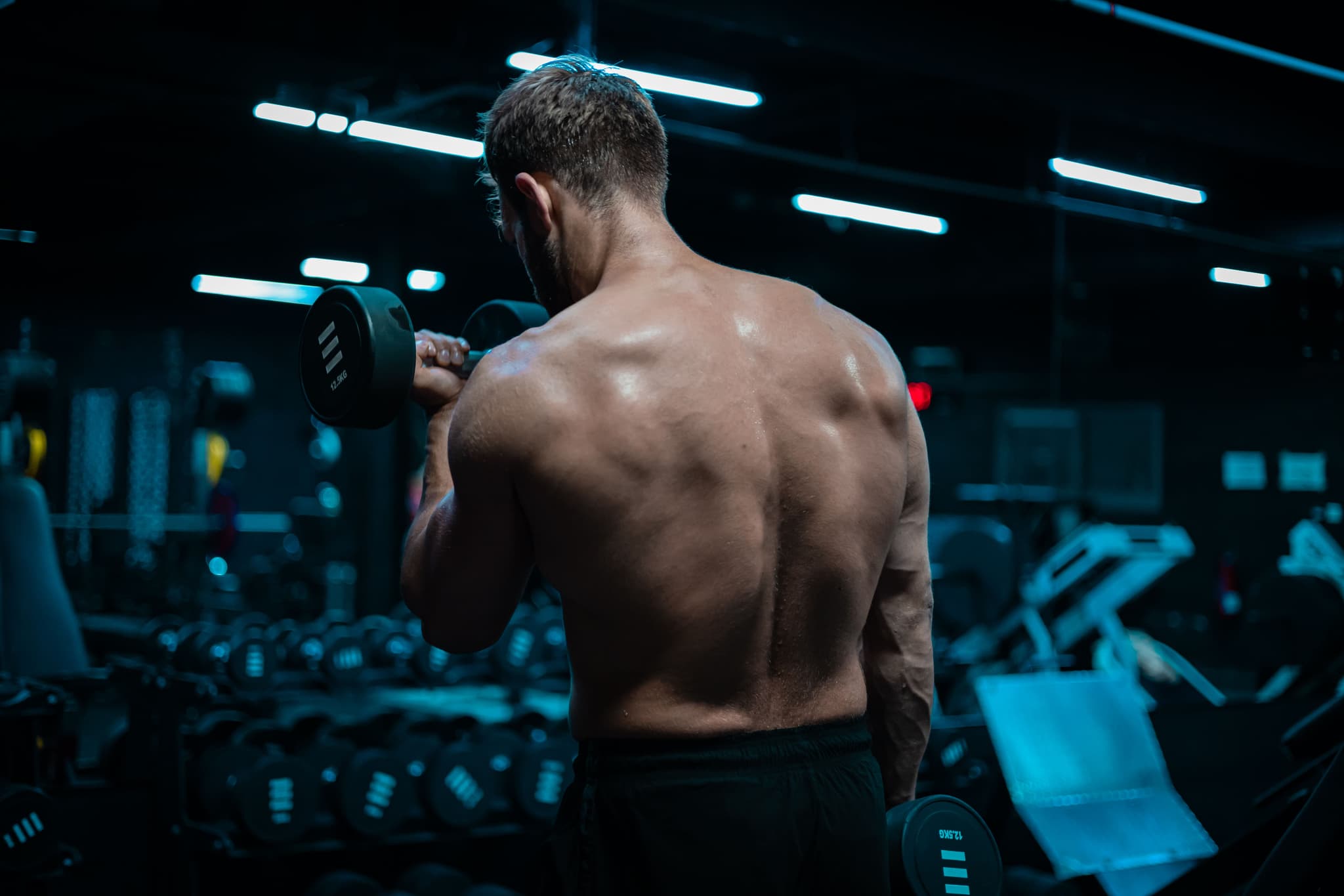 Gym | Ahed Makdsi | Photographer